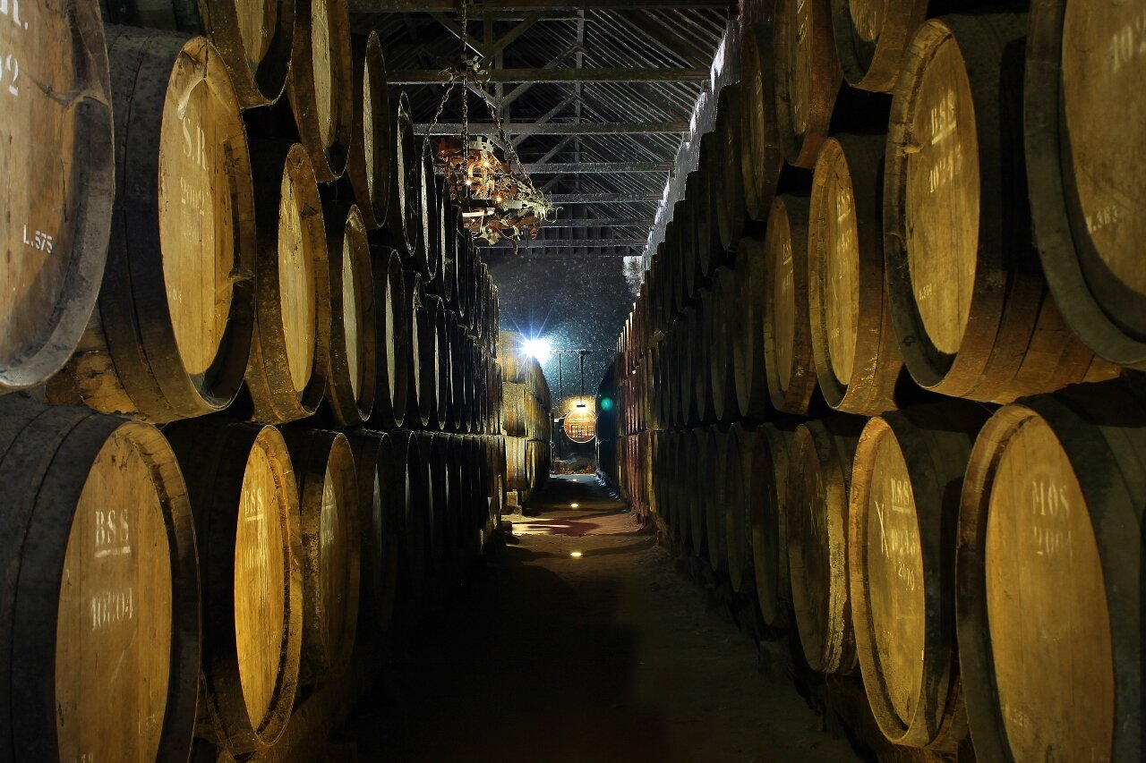 Descubra os Vinhos de Setúbal: Uma Aventura Vinícola Privada de Lisboa