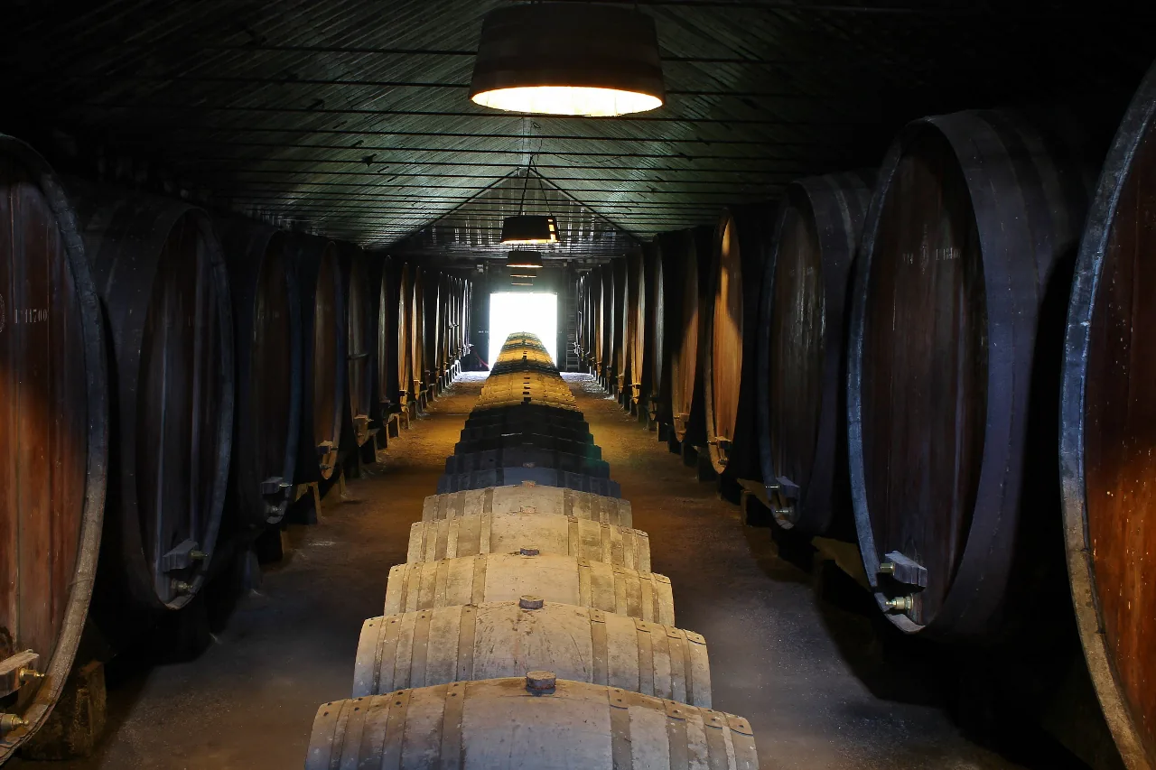 Entdecken Sie die Weine von Setúbal: Ein privates Weinabenteuer ab Lissabon - photo 1